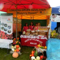 LGD na Dożynkach Powiatu Przysuskiego